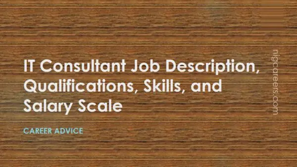 IT Consultant Job Description