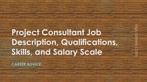 Project Consultant Job Description