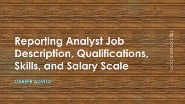 Reporting Analyst Job Description