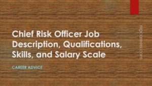 Chief Risk Officer Job Description