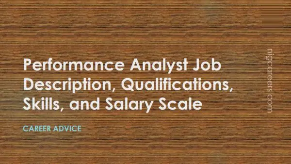 Performance Analyst Job Description