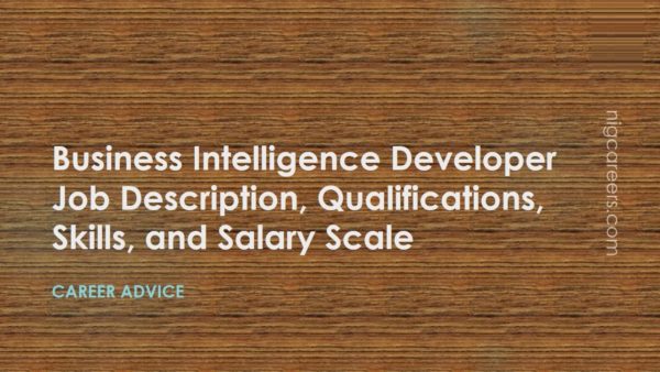 Business Intelligence Developer Job Description