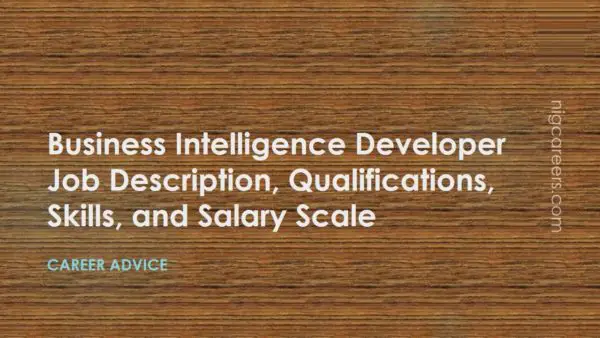 business-intelligence-developer-job-description-skills-and-salary