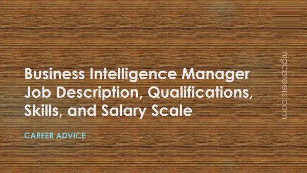 Business Intelligence Manager Job Description
