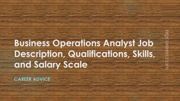 Business Operations Analyst Job Description
