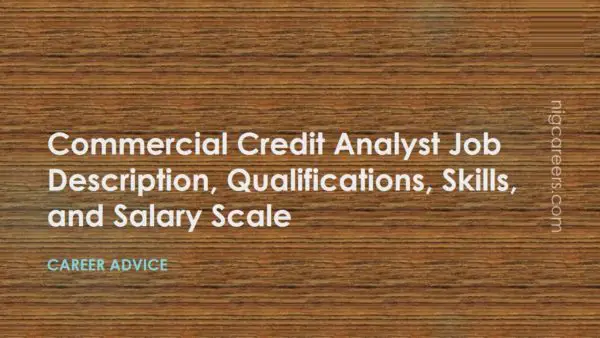 Commercial Credit Analyst Job Description