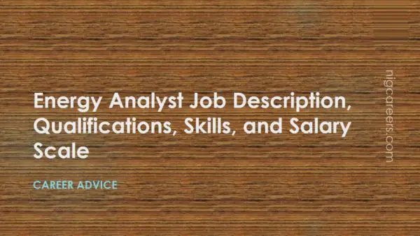 Energy Analyst Job Description